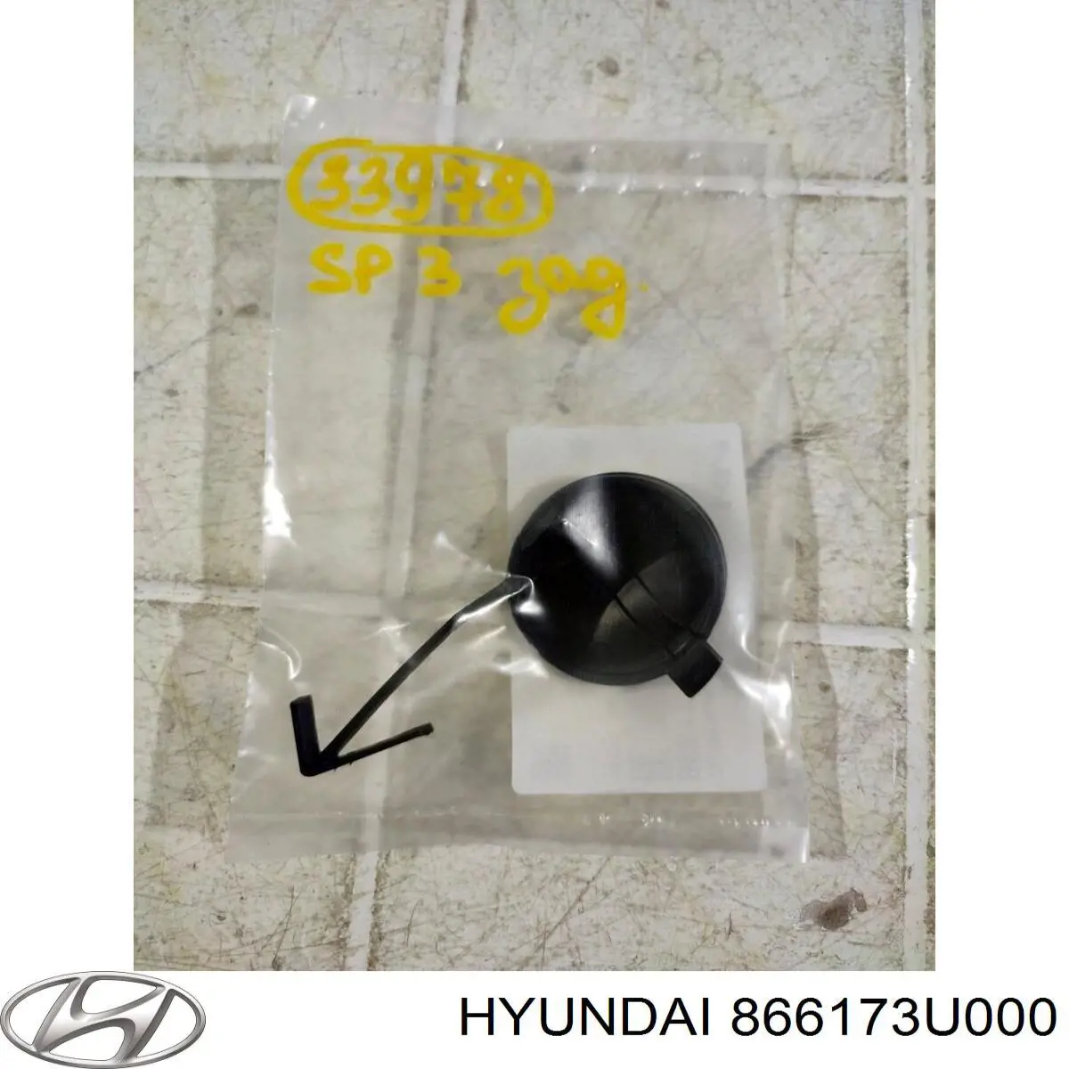 866173U000 Hyundai/Kia 