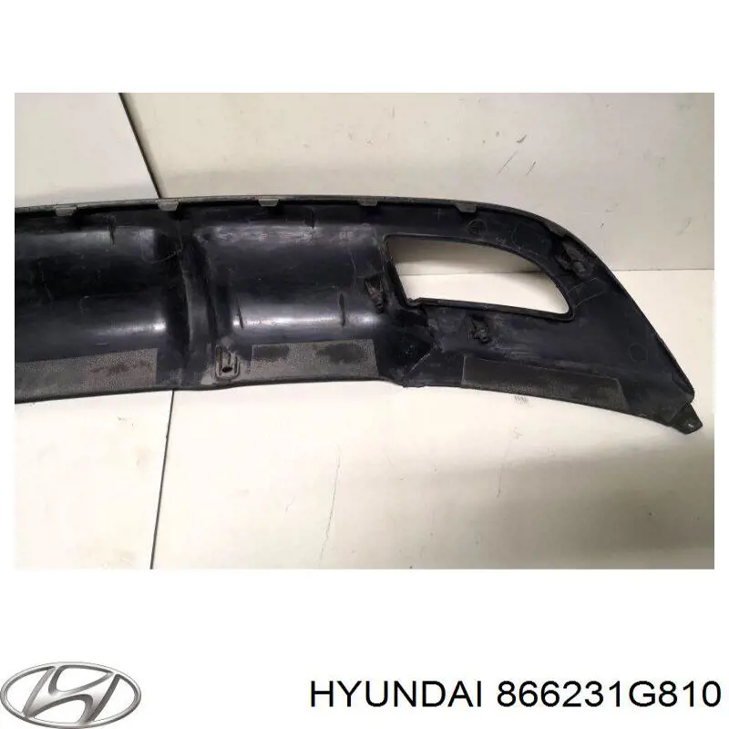  866231G810 Hyundai/Kia