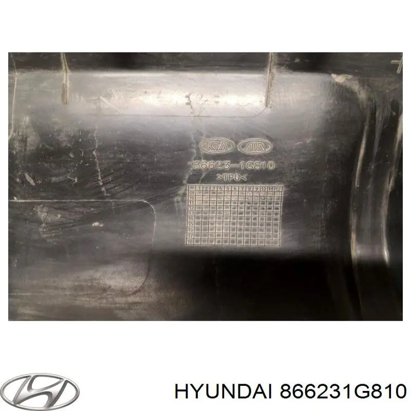  Hyundai/Kia 866231G810 цена, от 46.07 USD