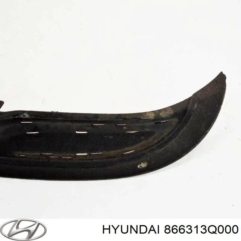 866313Q000 Hyundai/Kia 