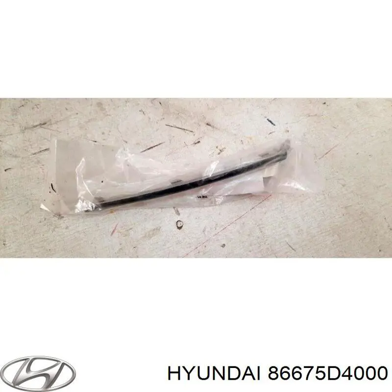 86675D4000 Hyundai/Kia 