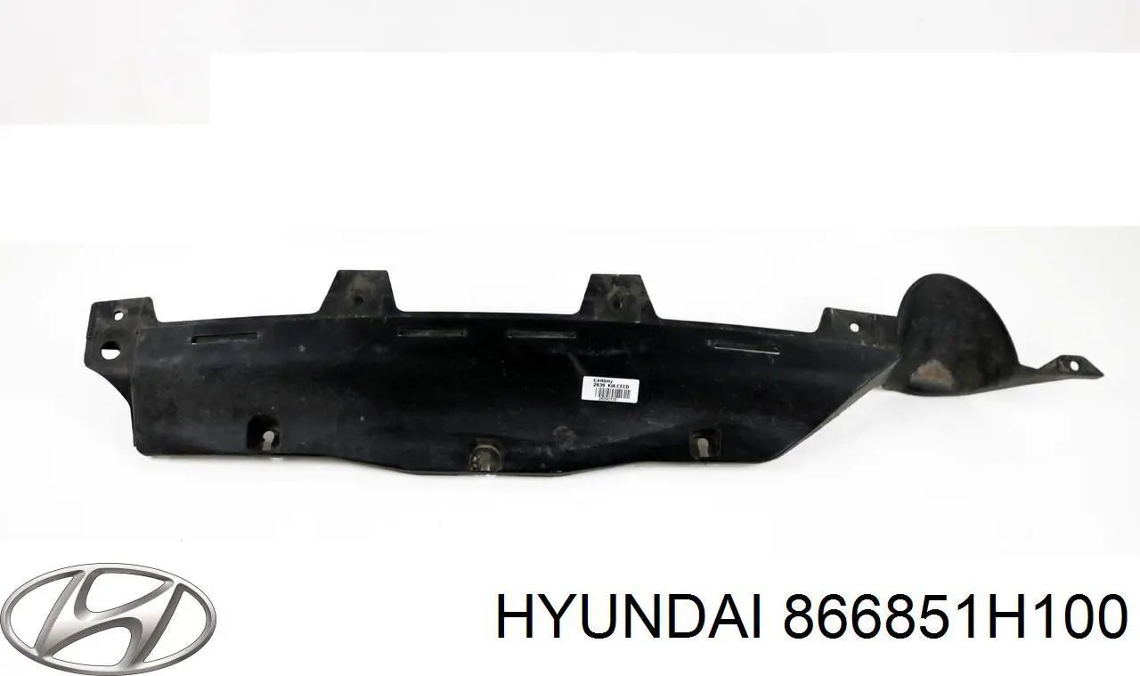  866851H100 Hyundai/Kia