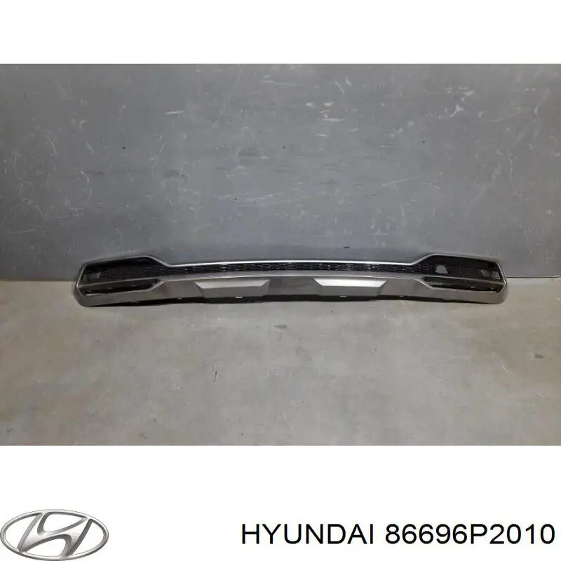 86696P2010 Hyundai/Kia 