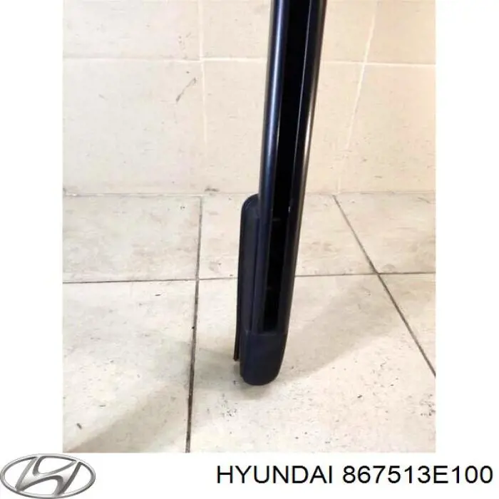 Рейлинг крыши левый Hyundai/Kia 867513E100 цена, от 11.58 USD