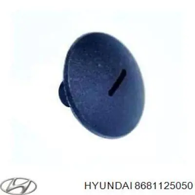 Подкрылок крыла переднего левый Hyundai/Kia 8681125050 цена, от 76.02 USD