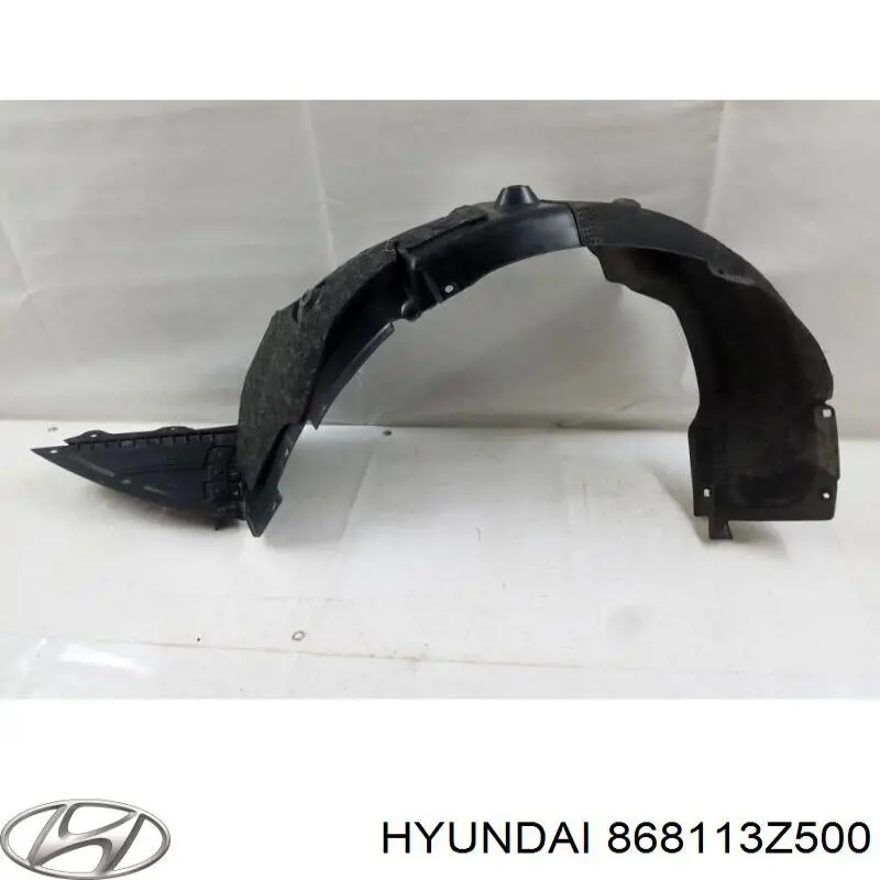 868113Z500 Hyundai/Kia Подкрылок крыла переднего левый