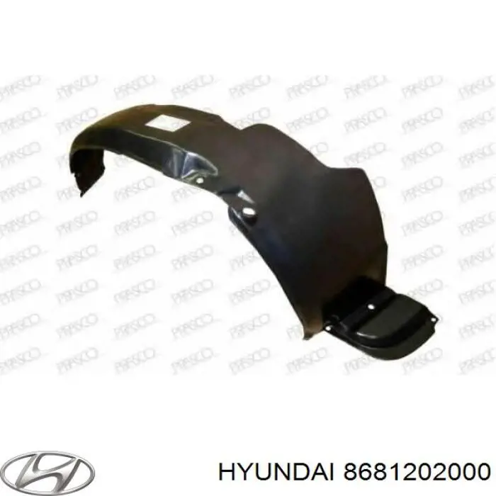 Guarda-barras direito do pára-lama dianteiro para Hyundai Atos (MX)