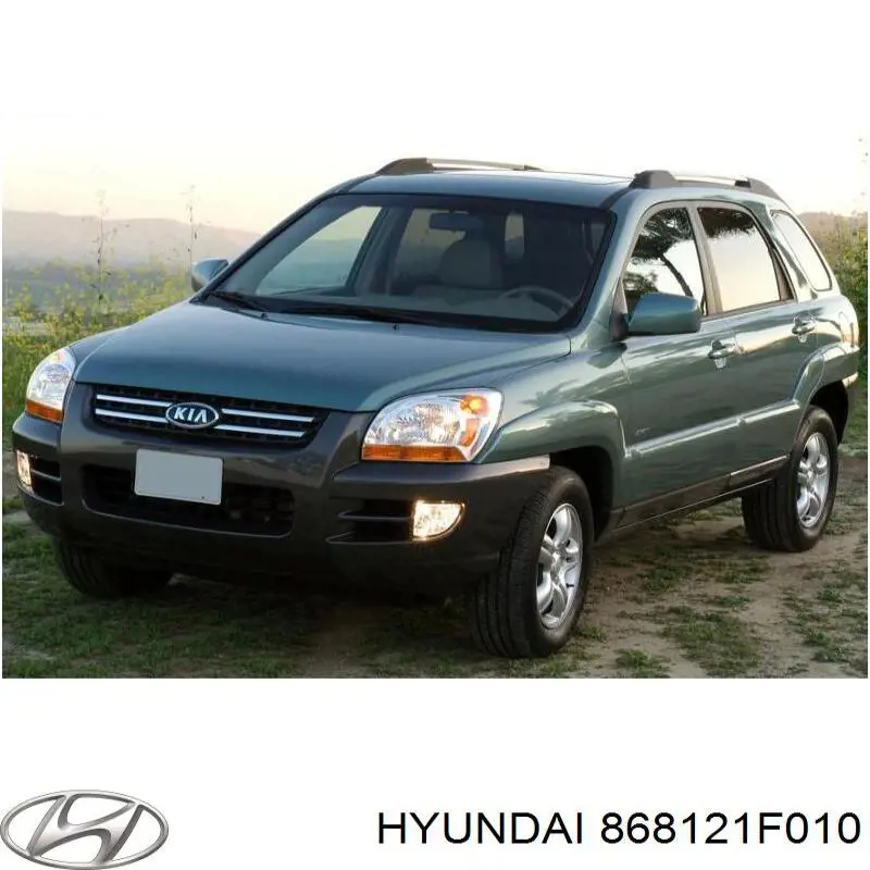 868121F010 Hyundai/Kia guarda-barras direito do pára-lama dianteiro