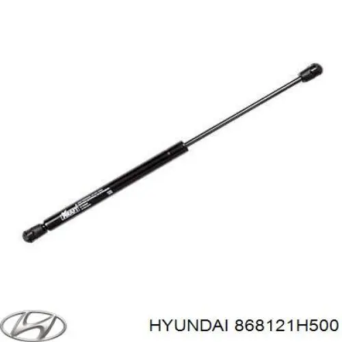 Подкрылок передний правый 868121H500 Hyundai/Kia