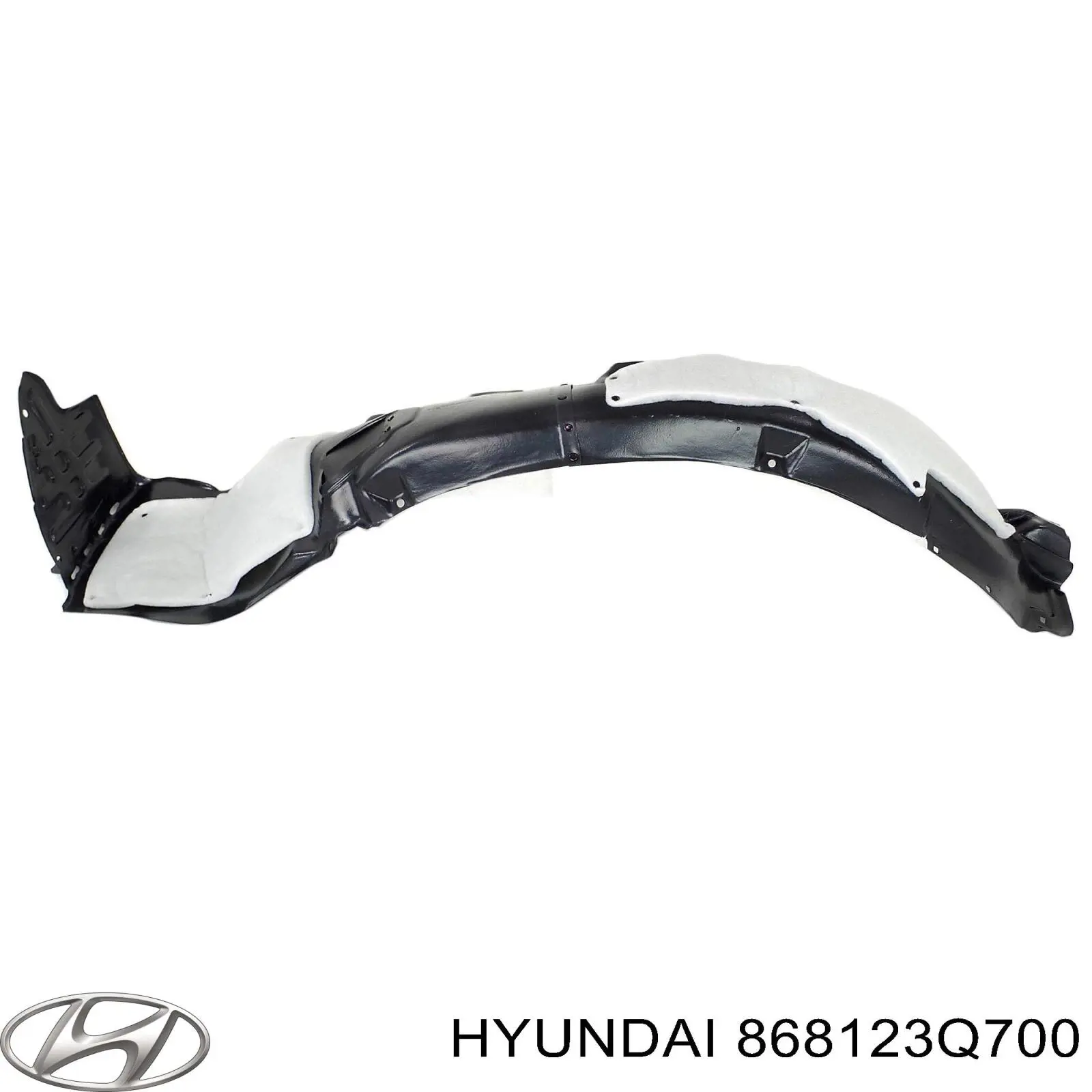 868123Q700 Hyundai/Kia 