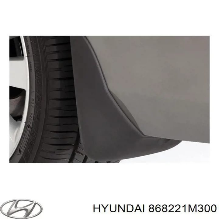 868221M300 Hyundai/Kia guarda-barras do pára-lama traseiro direito