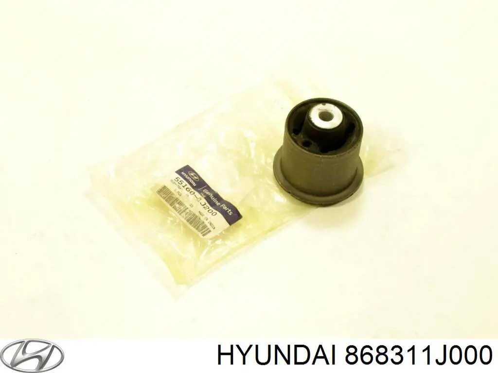 Protetor de lama dianteiro esquerdo para Hyundai I20 (PB)
