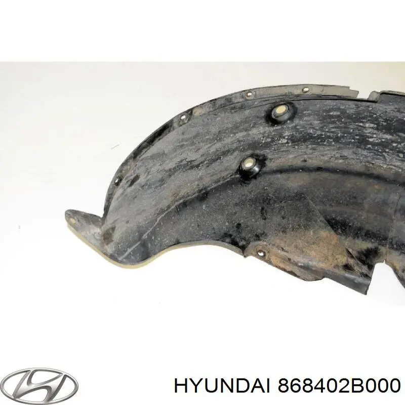 Купить 868402B000 Hyundai/Kia Подкрылок задний правый