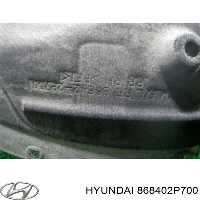 Купить 868402P700 Hyundai/Kia Подкрылок задний правый