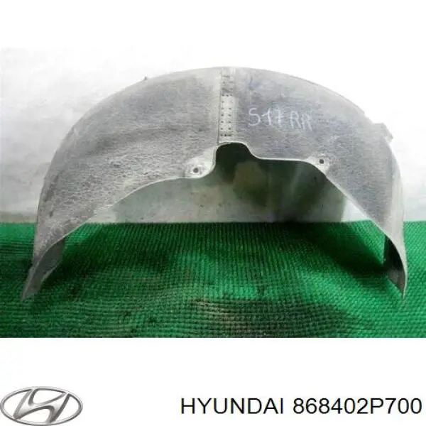 Подкрылок задний правый Hyundai/Kia 868402P700 цена, от 27.97 USD