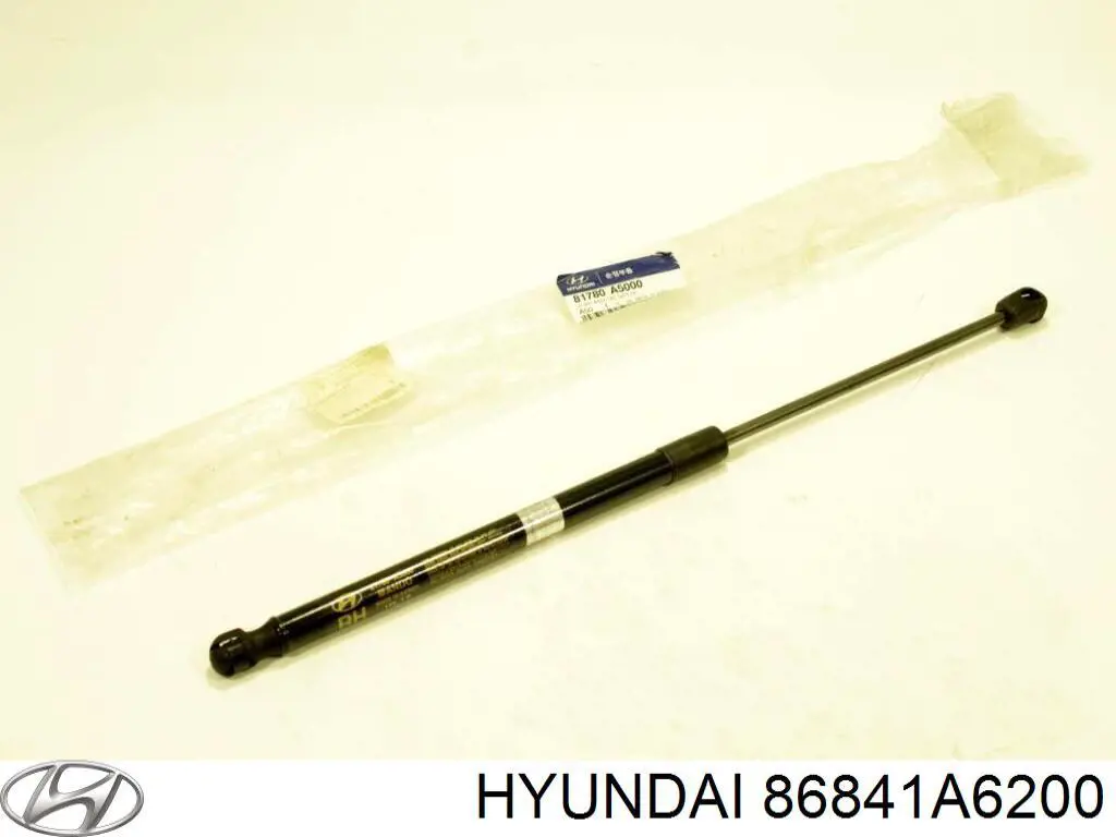 Брызговик задний левый Hyundai/Kia 86841A6200 цена, от 20.06 USD
