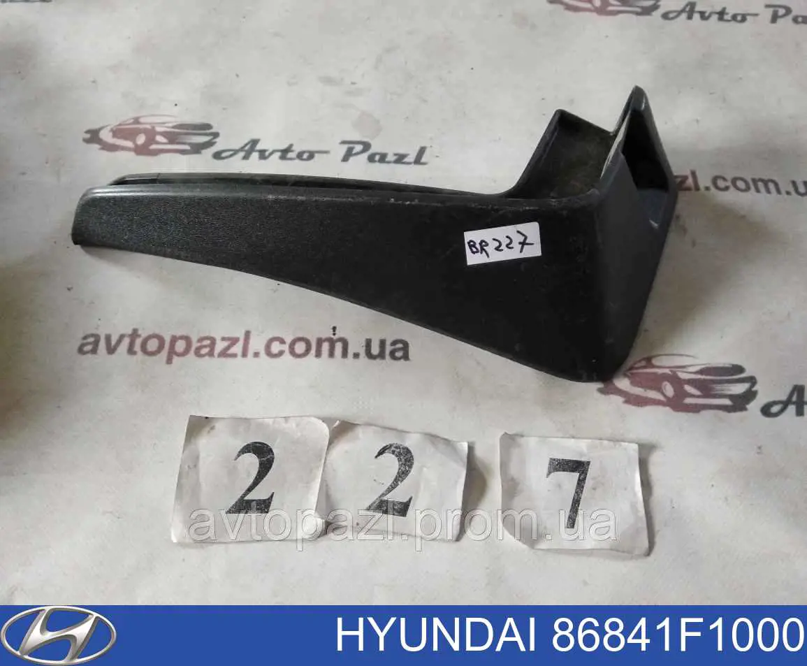 86841F1000 Hyundai/Kia protetor de lama traseiro esquerdo