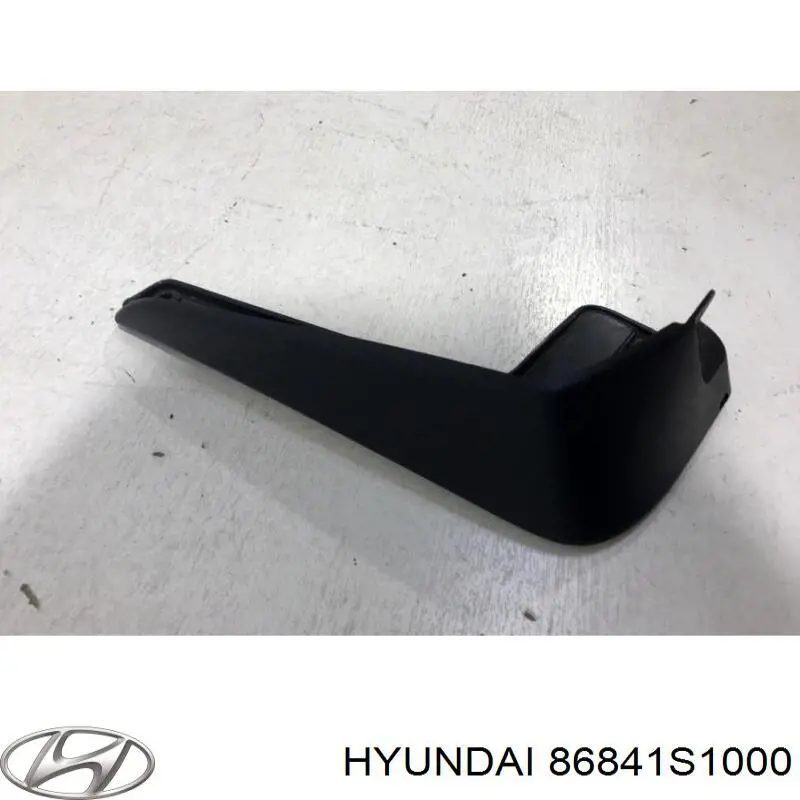Купить 86841S1000 Hyundai/Kia Брызговик задний левый