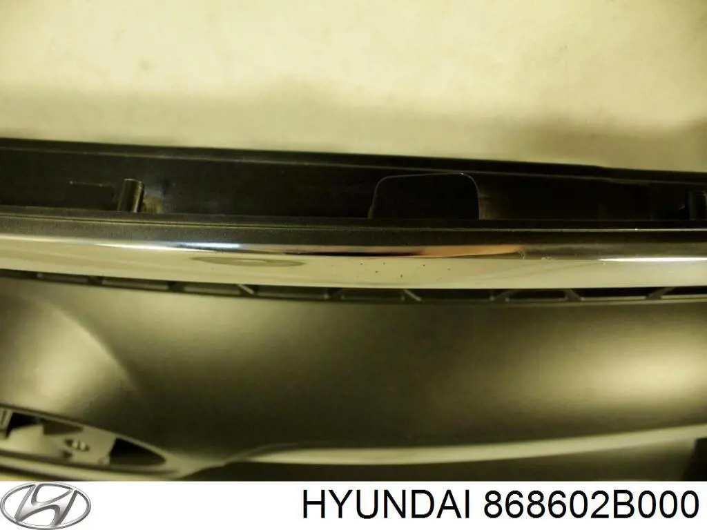 868602B000 Hyundai/Kia Брызговик передний правый