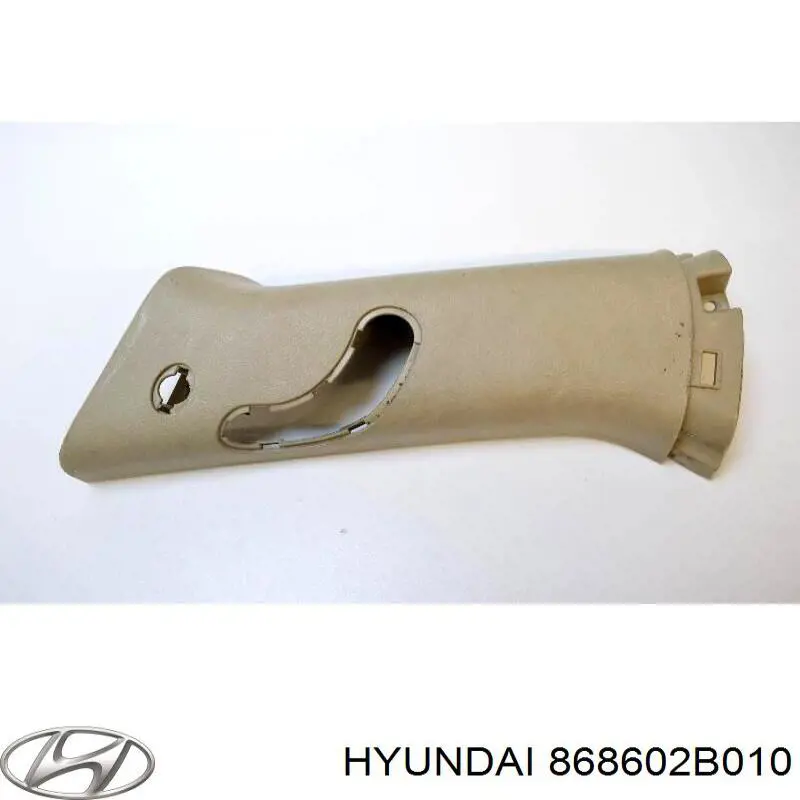 Брызговик передний правый 868602B010 Hyundai/Kia