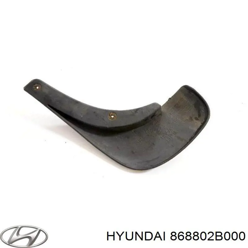 Protetor de lama traseiro direito para Hyundai Santa Fe (CM)