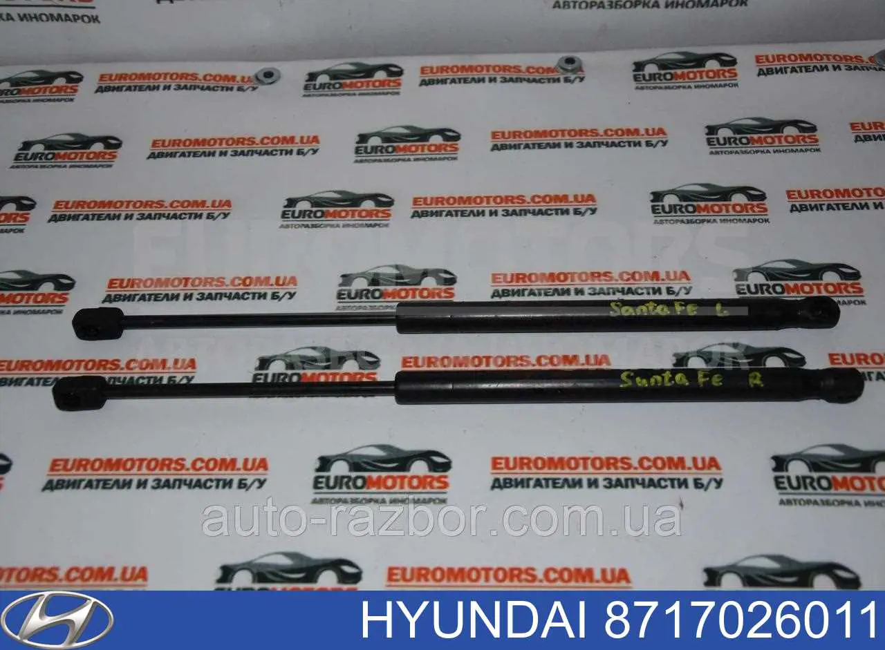 Амортизатор стекла багажника (двери 3/5-й задней (ляды) Hyundai/Kia 8717026011