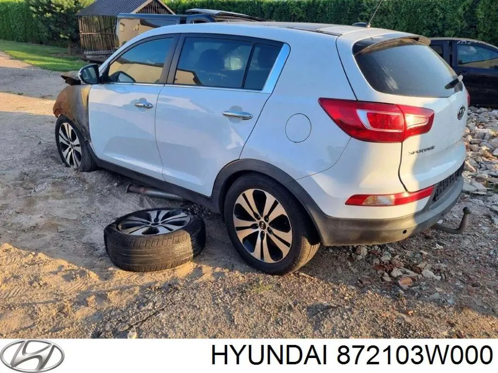 Спойлер багажника (двери 3/5-й задней) 872103W000 Hyundai/Kia