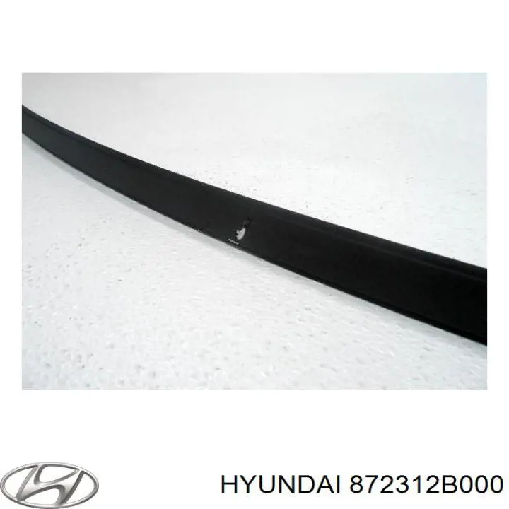 Молдинг крыши левый Hyundai/Kia 872312B000 цена, от 22.81 USD