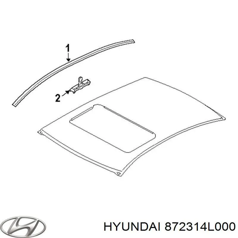 872314L000 Hyundai/Kia Накладка крыши левая
