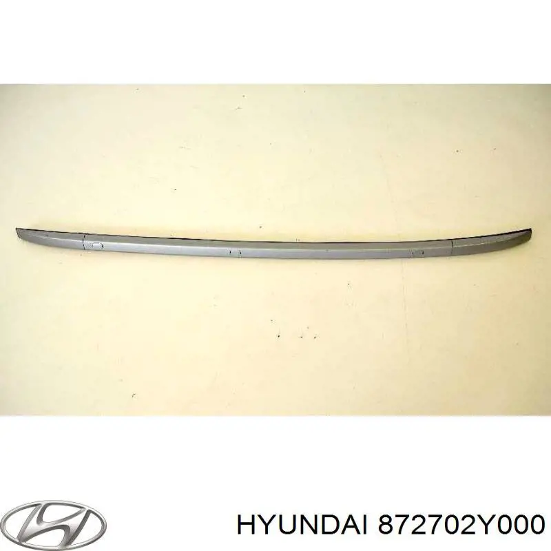 872702Y000 Hyundai/Kia 