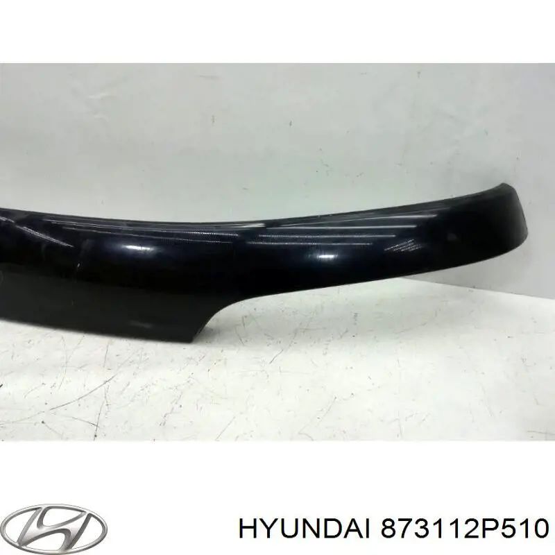 873112P510 Hyundai/Kia Задняя дверь