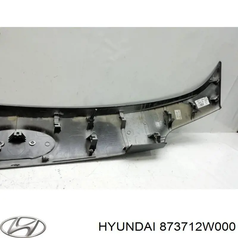 Накладка багажника (двери 3/5-й задней) на Hyundai Santa Fe III 