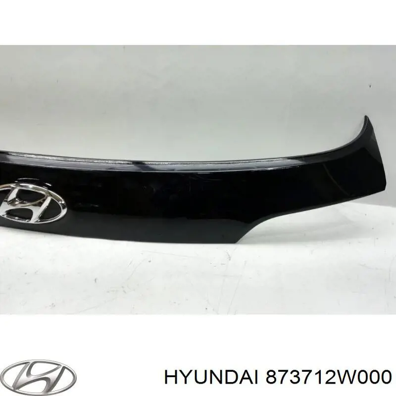 873712W000 Hyundai/Kia