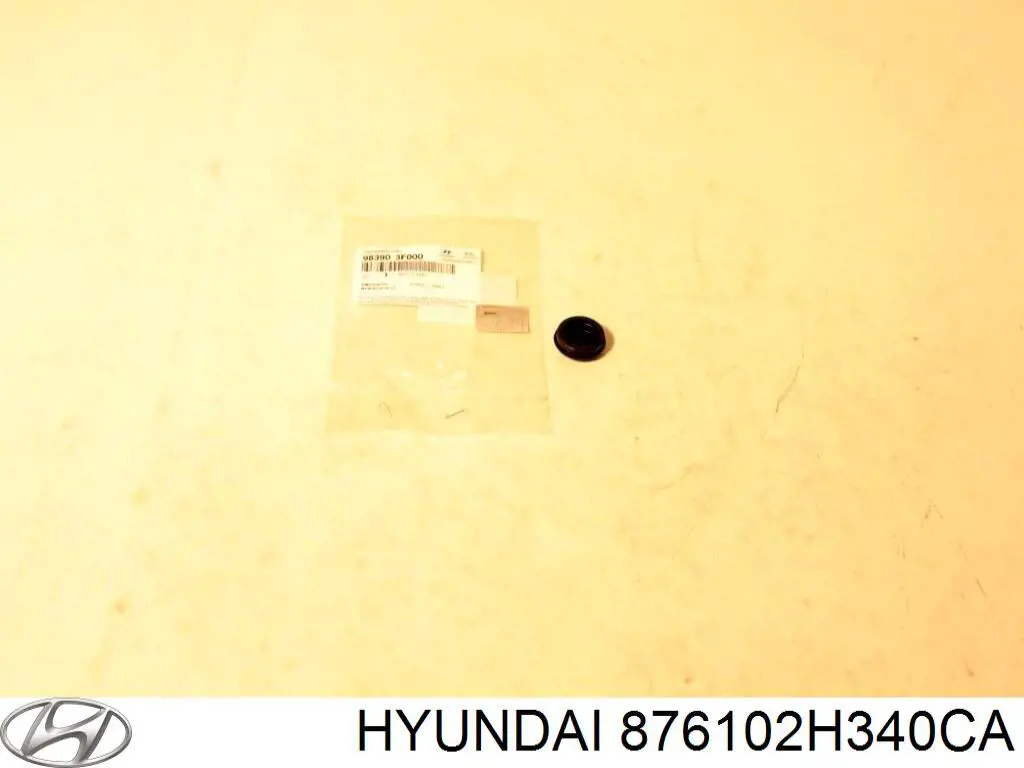  876102H340CA Hyundai/Kia