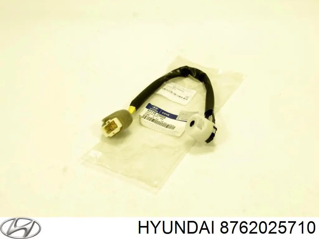 8762025710 Hyundai/Kia espelho de retrovisão direito
