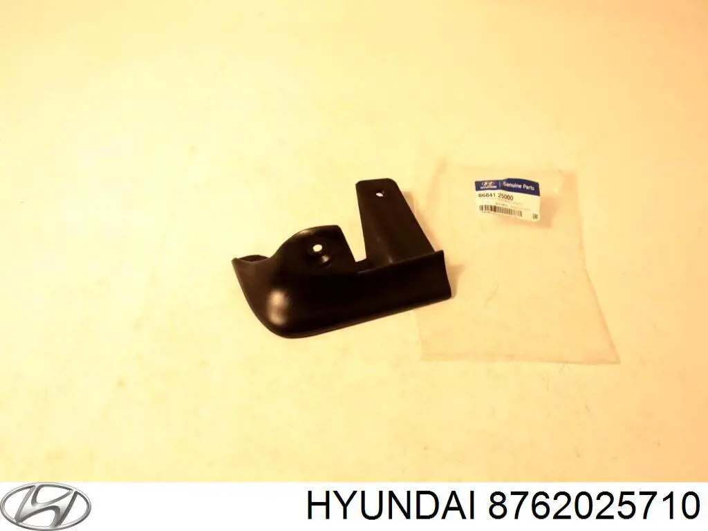 8762025710 Hyundai/Kia Зеркало заднего вида правое