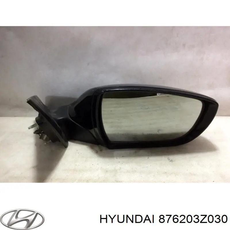 876203Z030 Hyundai/Kia 