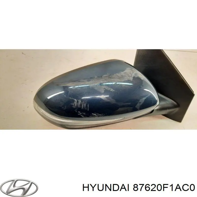  87620F1AC0 Hyundai/Kia