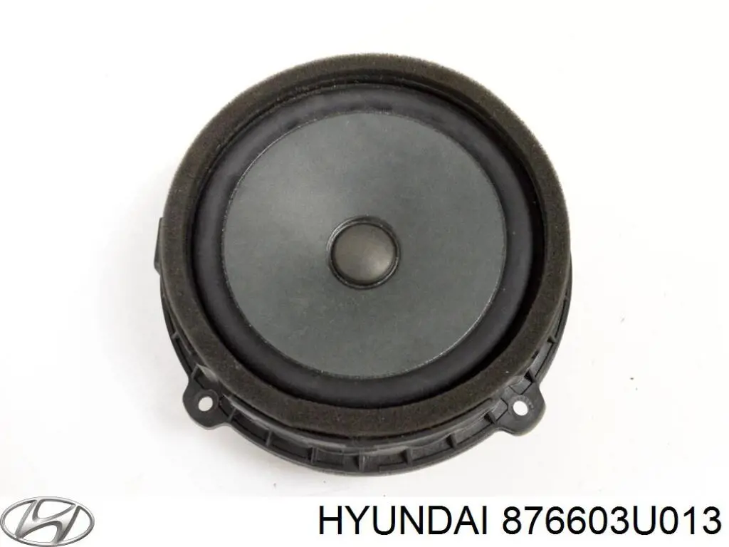 876603U013 Hyundai/Kia 