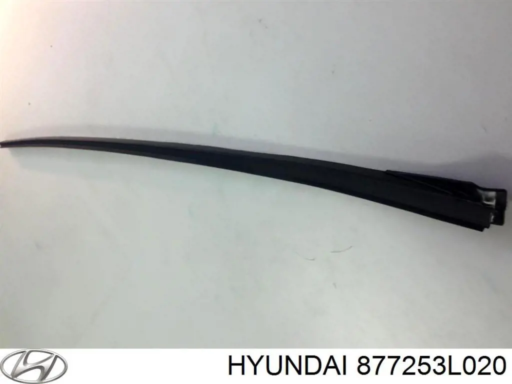 877253L020 Hyundai/Kia 
