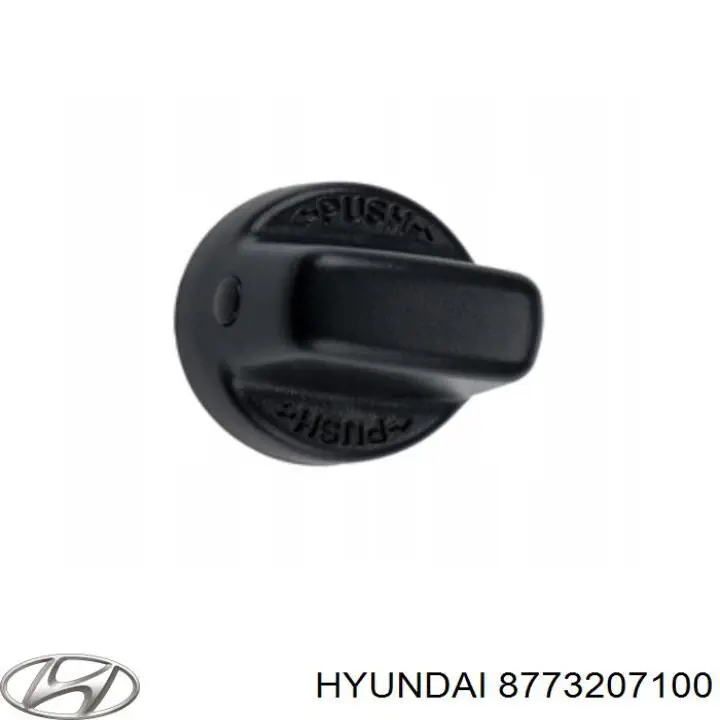 8773207100 Hyundai/Kia moldura da porta traseira direita