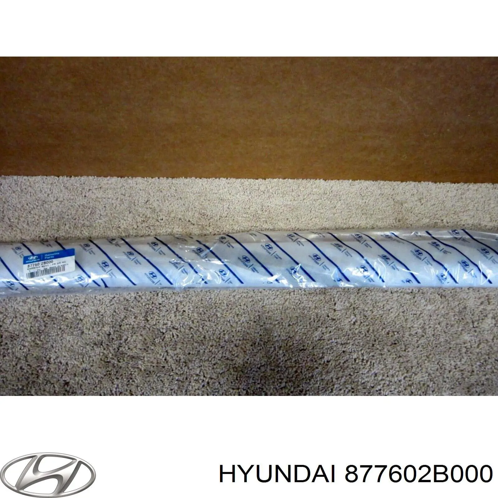 877602B000 Hyundai/Kia moldura da porta dianteira direita