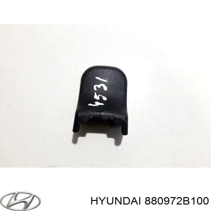 880972B100 Hyundai/Kia 