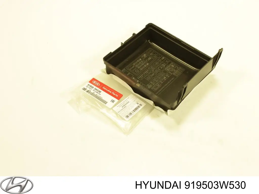  Hyundai/Kia 919503W530
