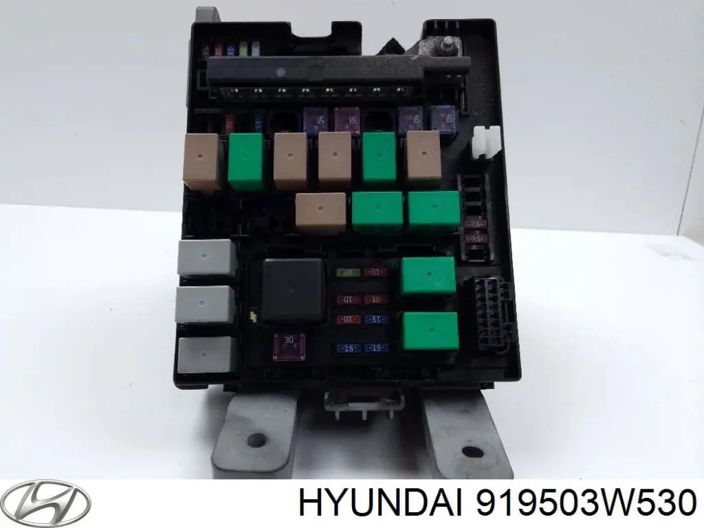 919503W530 Hyundai/Kia 