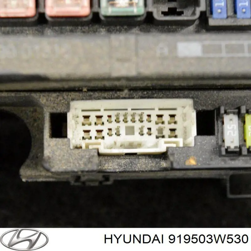  919503W530 Hyundai/Kia