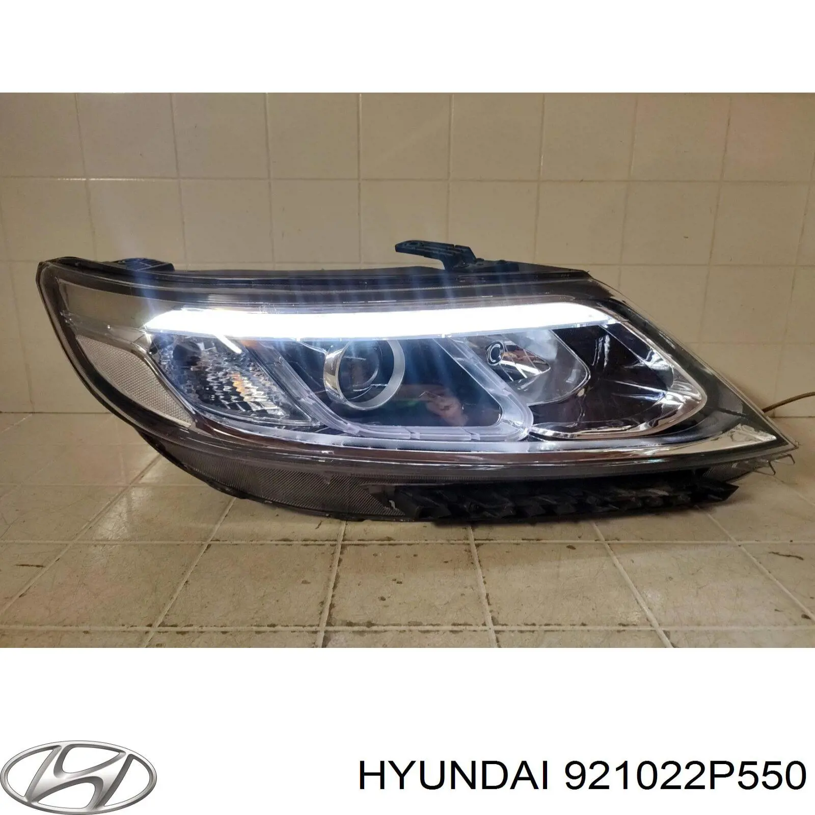 921022P550 Hyundai/Kia luz direita