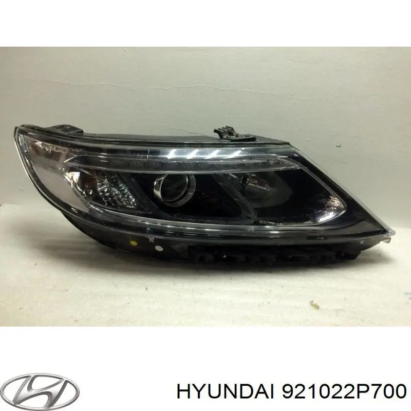 921022P700 Hyundai/Kia luz direita