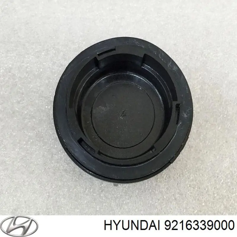  9216339000 Hyundai/Kia