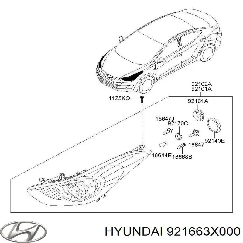  921663X000 Hyundai/Kia